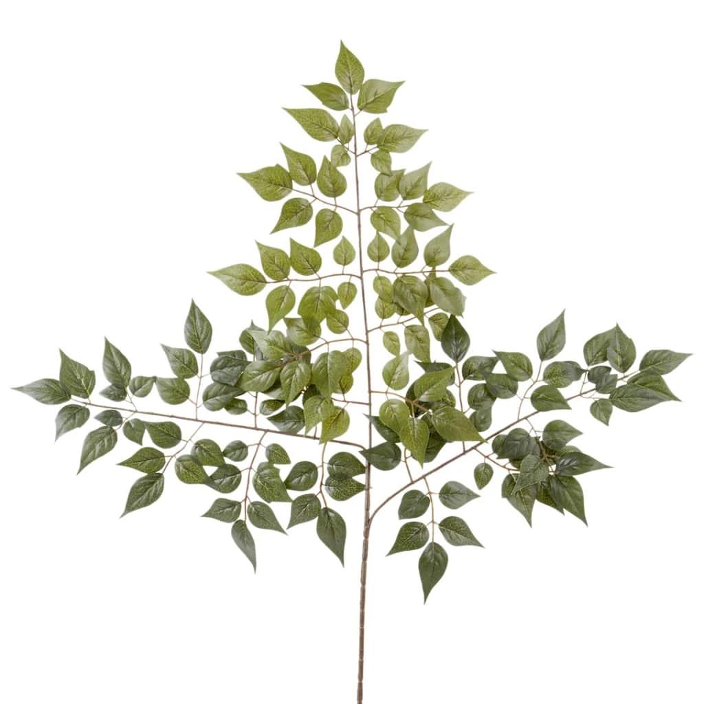 Coupon ❤️ 24 Pack: Green China Dollar Spray by Ashland® ✨ 3 Coupon ❤️ 24 Pack: Green China Dollar Spray by Ashland® ✨