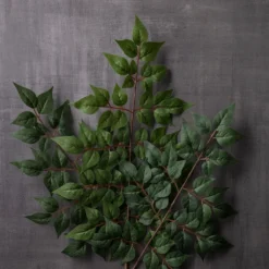 Brand new ❤️ China Dollar Spray Floral Essentials by Ashland® 🌟 -Outlet Yuletide Joy Store 10292511 22