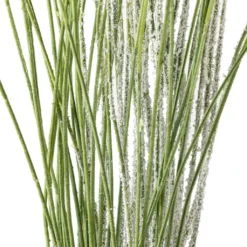 Coupon 🎉 Assorted Branch Twig by Ashland® 🤩 -Outlet Yuletide Joy Store 10296166 20