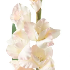 Best Sale 👍 White Gladiolus Stem by Ashland® 🧨 -Outlet Yuletide Joy Store 10297020 20