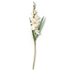 Best Sale 👍 White Gladiolus Stem by Ashland® 🧨 -Outlet Yuletide Joy Store 10297020 21