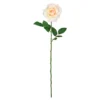 Best reviews of 😀 12 Pack: White Princess Rose Stem by Ashland® 🎉 2 Best reviews of 😀 12 Pack: White Princess Rose Stem by Ashland® 🎉 -Outlet Yuletide Joy Store 10297097