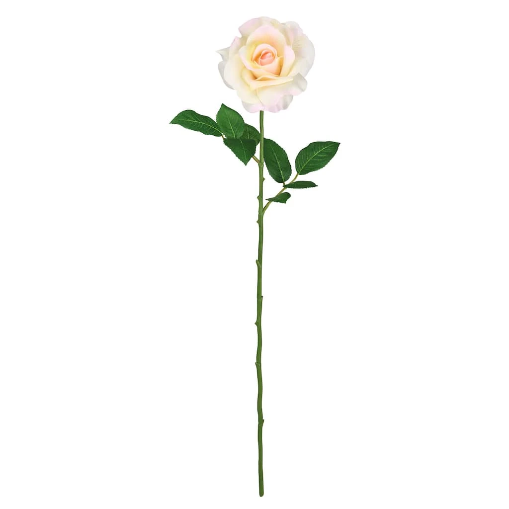 Best reviews of π 12 Pack: White Princess Rose Stem by Ashland® π 3 Best reviews of π 12 Pack: White Princess Rose Stem by Ashland® π