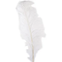 Budget 😉 12 Pack: Ivory Ostrich Feather by Ashland® ✔️