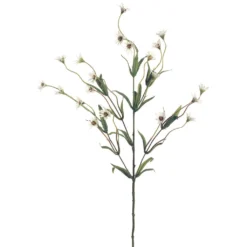 Top 10 ✔️ Wild Daisy Spray by Ashland® 😀