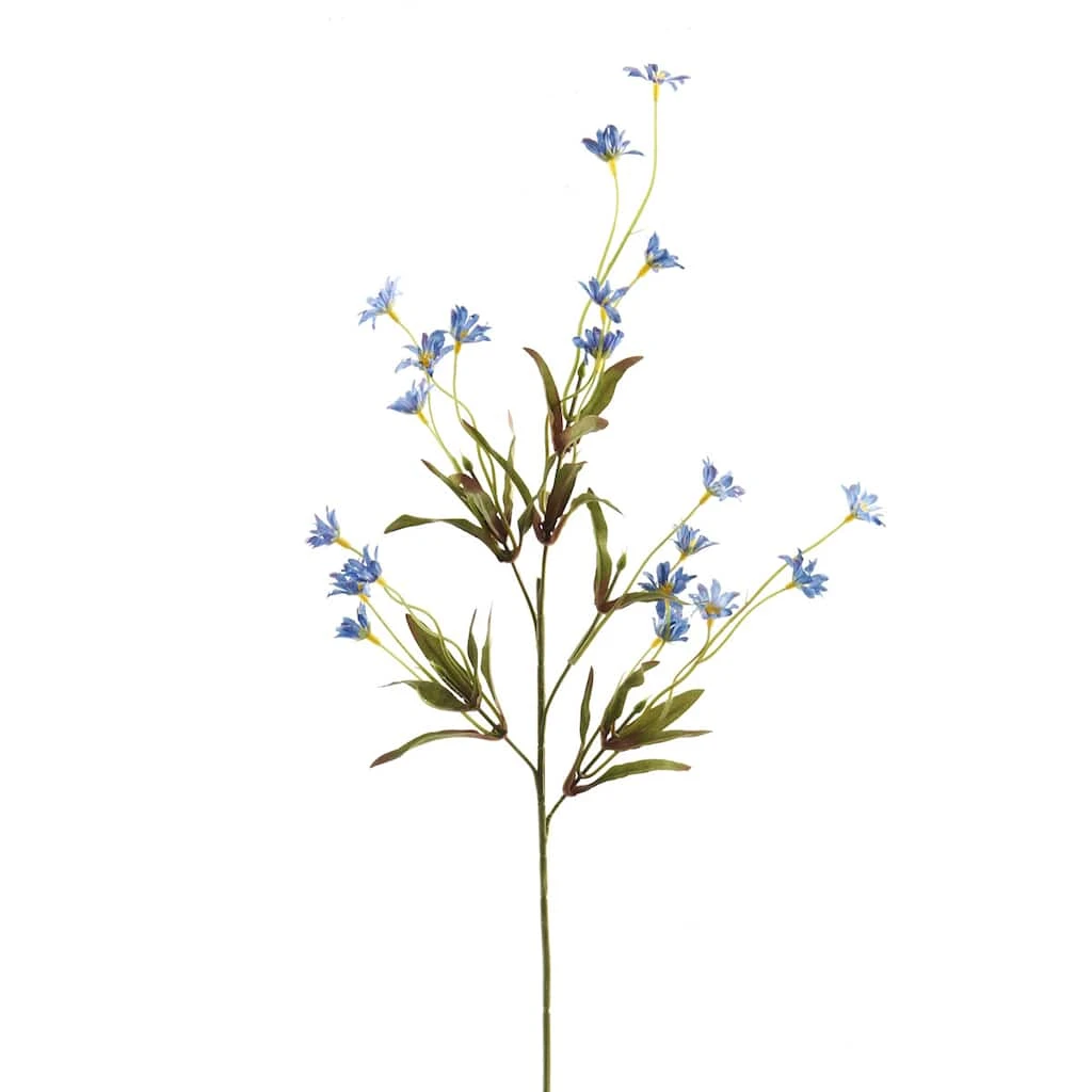 Coupon π Wild Daisy Spray by Ashland® β 3 Coupon π Wild Daisy Spray by Ashland® β