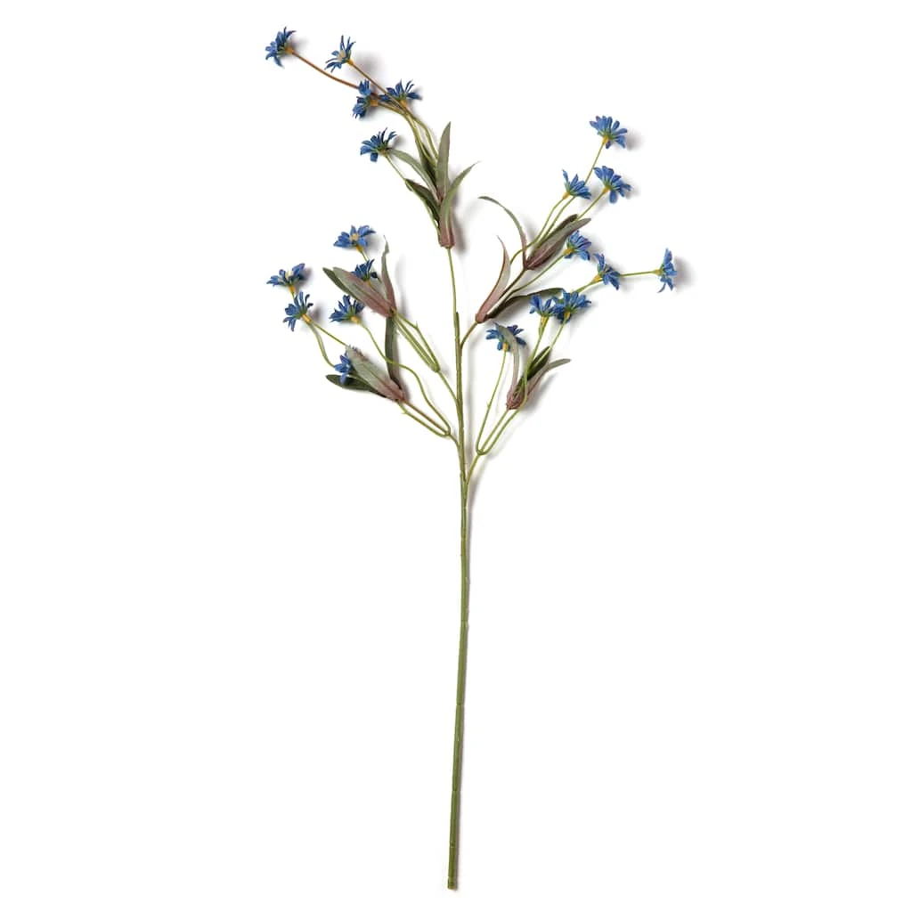 Coupon π Wild Daisy Spray by Ashland® β 6 Coupon π Wild Daisy Spray by Ashland® β - Image 4