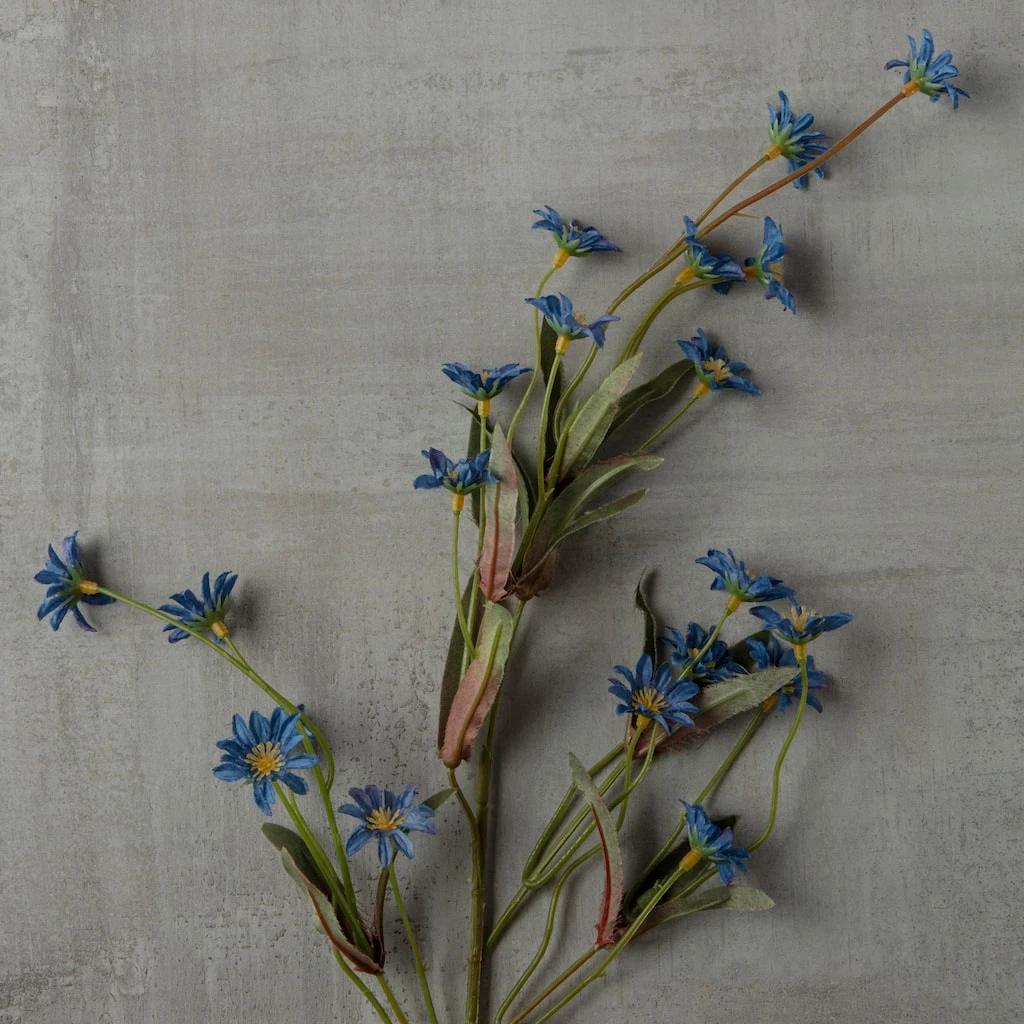 Coupon π Wild Daisy Spray by Ashland® β 4 Coupon π Wild Daisy Spray by Ashland® β - Image 2