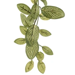 Best reviews of 🔔 Fittonia Hanging Bush Classic Greeery by Ashland® ❤️ -Outlet Yuletide Joy Store 10308882 20