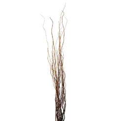 Brand new ✨ Natural Curly Willow by Ashland® 🛒