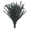 Flash Sale 🤩 Green Eucalyptus Bunch by Ashland®, 16oz. ❤️ -Outlet Yuletide Joy Store 10322552 1