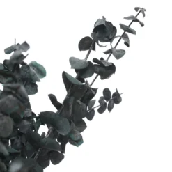 Flash Sale 🤩 Green Eucalyptus Bunch by Ashland®, 16oz. ❤️ -Outlet Yuletide Joy Store 10322552 2