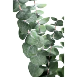 Coupon π Ashland® Eucalyptus Bunch, 4 oz. β 8 Coupon π Ashland® Eucalyptus Bunch, 4 oz. β -Outlet Yuletide Joy Store 10333062 2