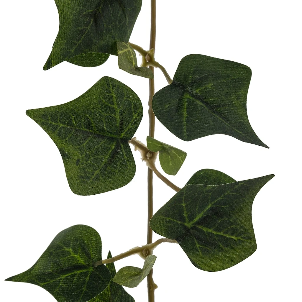 Best reviews of π― Assorted 6ft. Mini Ivy Garland by Ashland® π 5 Best reviews of π― Assorted 6ft. Mini Ivy Garland by Ashland® π - Image 3