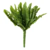 Top 10 ⭐ Ashland® Fern Collection Mini Boston Fern Bush ❤️ -Outlet Yuletide Joy Store 10335158