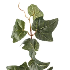 Cheapest 🧨 German Ivy Bush Ivy Collection by Ashland® ✔️ -Outlet Yuletide Joy Store 10335273 20