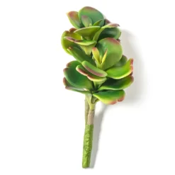 Buy ✔️ Green & Orange Succulent Pick by Ashland® 🎁 -Outlet Yuletide Joy Store 10337814 21