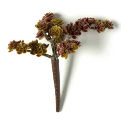 Discount ⭐ Creeping Red Sedum Pick by Ashland® 🤩 -Outlet Yuletide Joy Store 10337815 21