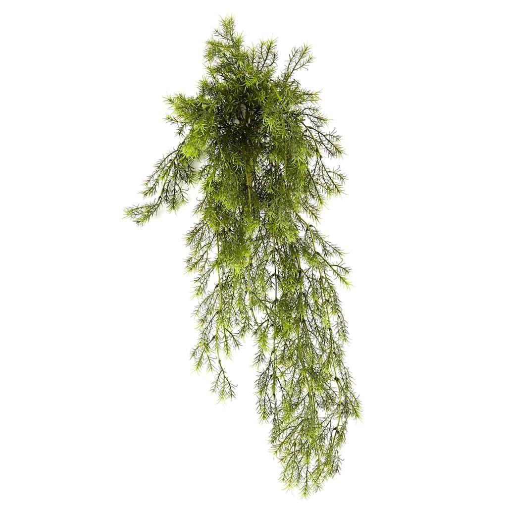 Best deal ❤️ Springeri Bush Fern Collection by Ashland® 🔔 6 Best deal ❤️ Springeri Bush Fern Collection by Ashland® 🔔 - Image 4