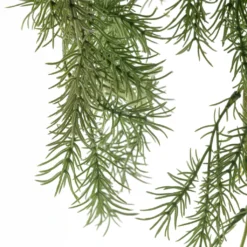 Best deal ❤️ Springeri Bush Fern Collection by Ashland® 🔔 8 Best deal ❤️ Springeri Bush Fern Collection by Ashland® 🔔 -Outlet Yuletide Joy Store 10339547 20