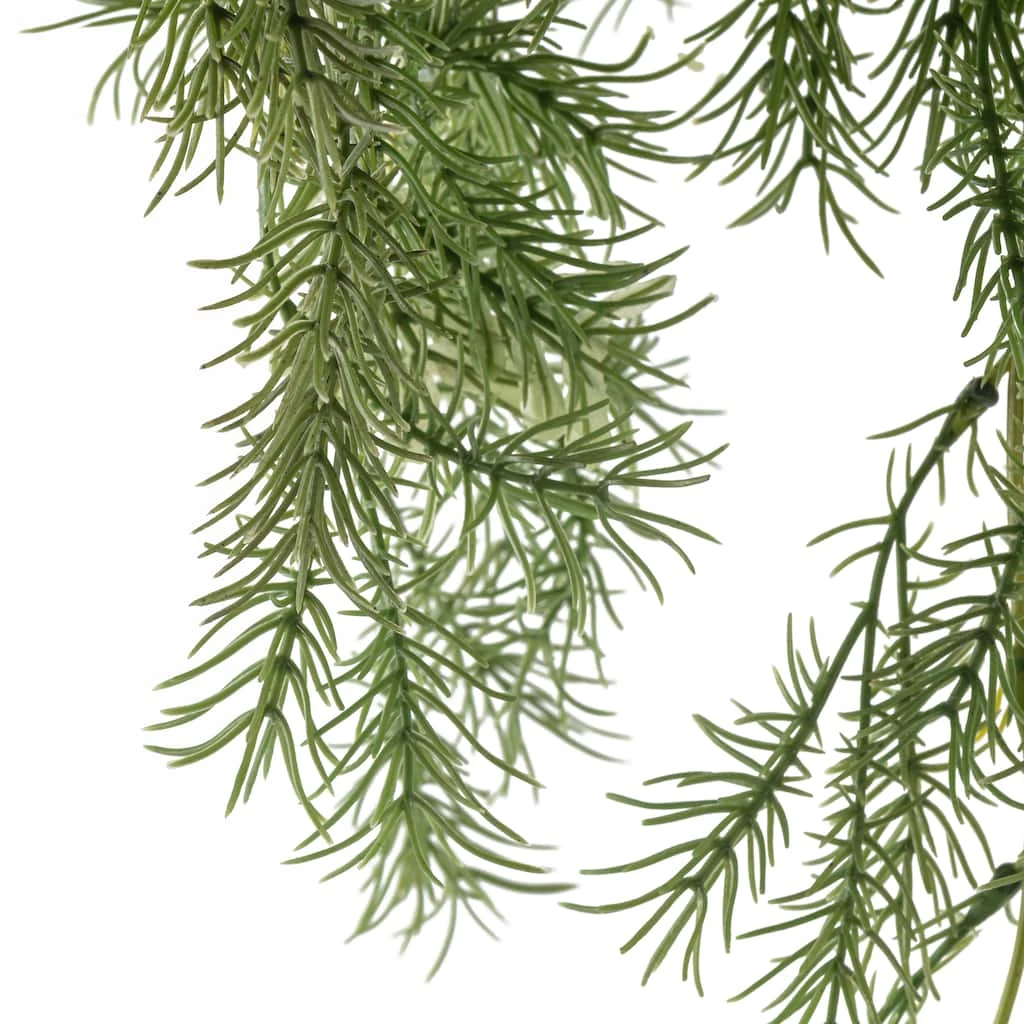 Best deal ❤️ Springeri Bush Fern Collection by Ashland® 🔔 5 Best deal ❤️ Springeri Bush Fern Collection by Ashland® 🔔 - Image 3