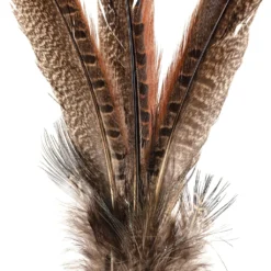 Budget ✨ Pheasant Feather Picks by Ashland® 🧨 -Outlet Yuletide Joy Store 10355706 20