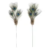 Promo β Peacock Feather Picks by Ashland® π₯ 1 Promo β Peacock Feather Picks by Ashland® π₯ -Outlet Yuletide Joy Store 10355707 1
