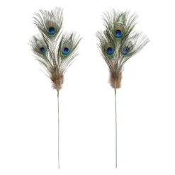 Promo ⌛ Peacock Feather Picks by Ashland® 🔥