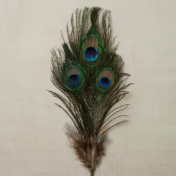 Promo ⌛ Peacock Feather Picks by Ashland® 🔥 -Outlet Yuletide Joy Store 10355707 25