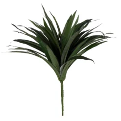 Budget 🔔 Assorted Cordyline Bush by Ashland® ❤️ -Outlet Yuletide Joy Store 10356827 2