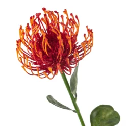 Hot Sale 🤩 Tropical Needle Protea Spray by Ashland® 🔥 -Outlet Yuletide Joy Store 10381033 20