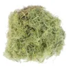 Best deal ⌛ Ashland® Spanish Moss—Basil Green ✔️ -Outlet Yuletide Joy Store 10382824 2