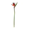 Buy ⭐ Tropical Bird of Paradise Stem by Ashland® 😀 -Outlet Yuletide Joy Store 10390624 21