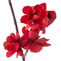 Flash Sale 😀 Red Apple Blossom Branch Stem by Ashland® 💯 -Outlet Yuletide Joy Store 10400684 20
