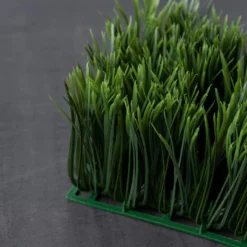 Top 10 ⭐ Long Grass Mat by Ashland® 😍 -Outlet Yuletide Joy Store 10429984 25