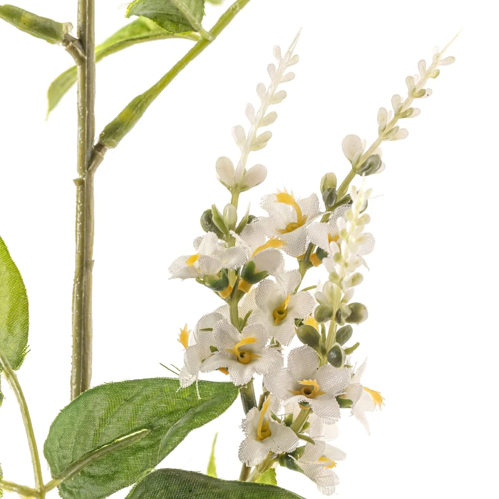 Outlet π Cream Hybrid Spirea Spray by Ashland® π€© 4 Outlet π Cream Hybrid Spirea Spray by Ashland® π€© - Image 2