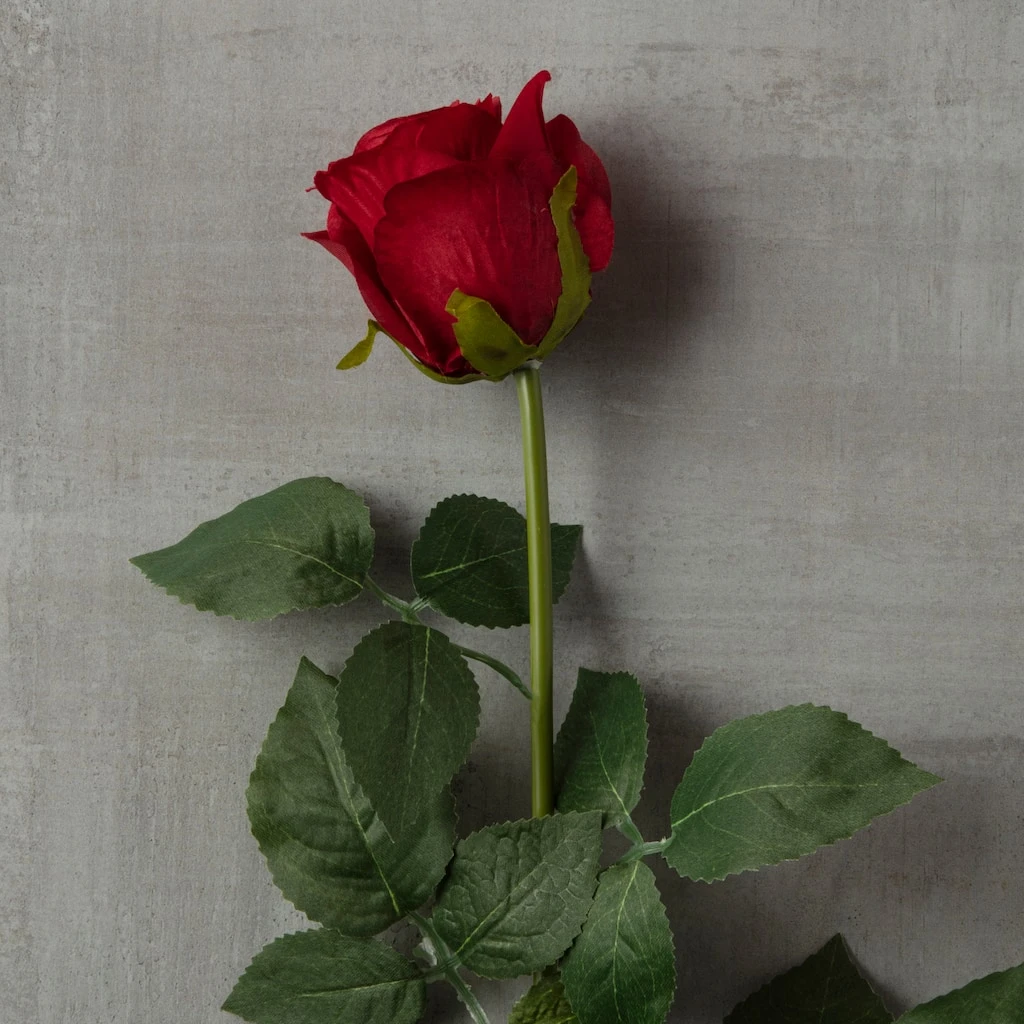 Hot Sale π Dutch Rose Spray by Ashland® β 6 Hot Sale π Dutch Rose Spray by Ashland® β - Image 4