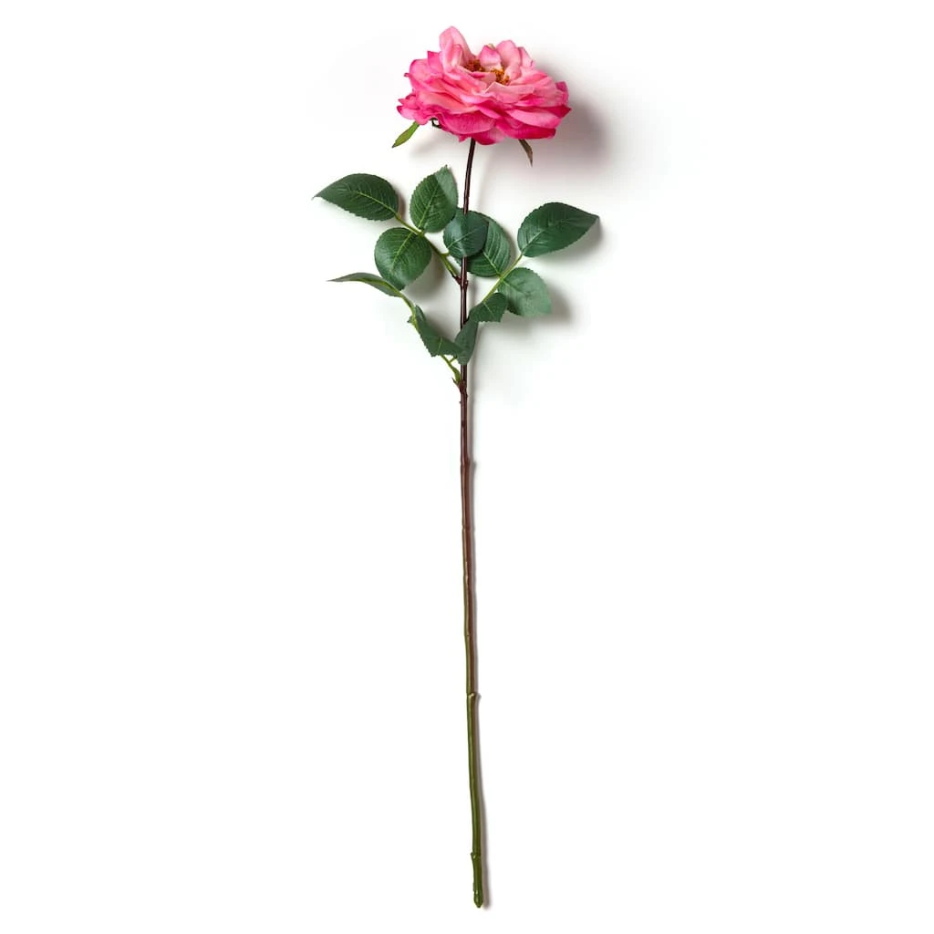 Outlet ❤️ Garden Bloom Orlane Rose Stem Ashland™ ⌛ 4 Outlet ❤️ Garden Bloom Orlane Rose Stem Ashland™ ⌛ - Image 2