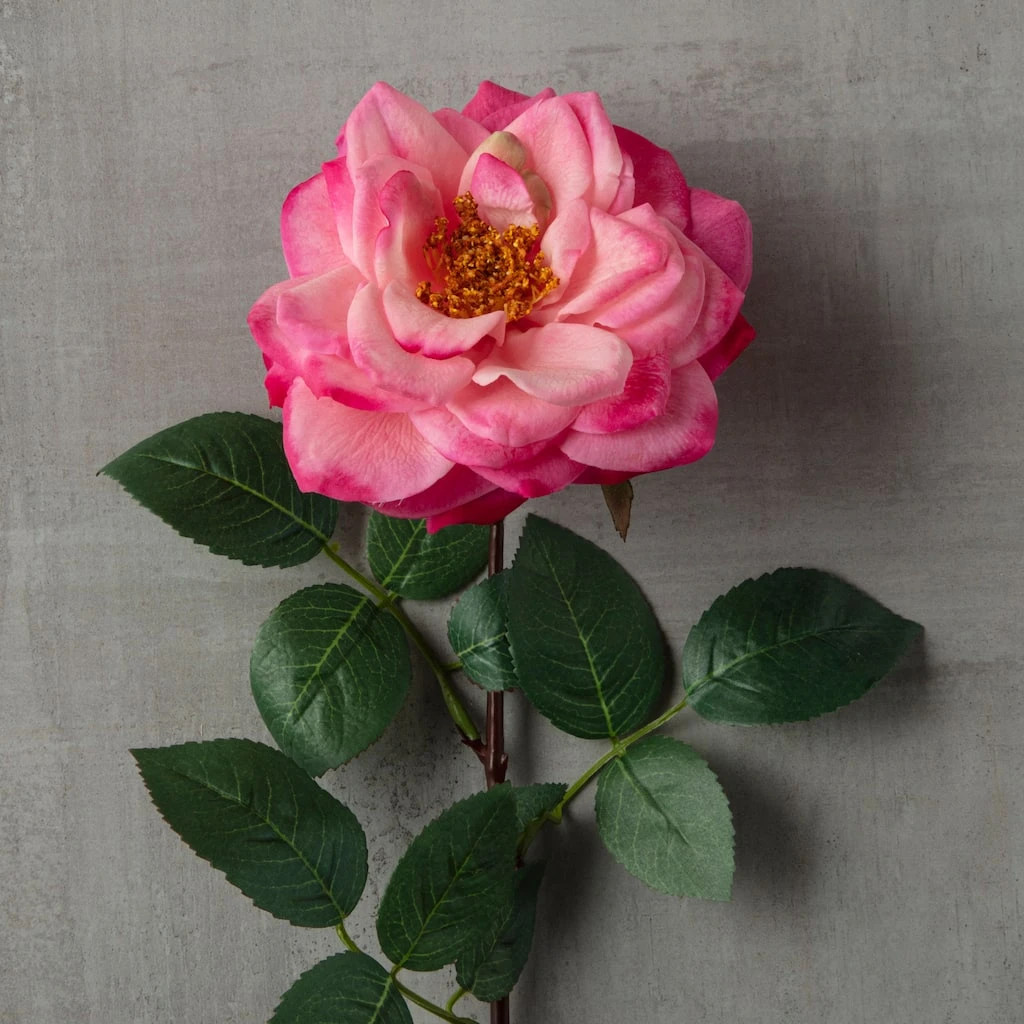 Outlet ❤️ Garden Bloom Orlane Rose Stem Ashland™ ⌛ 5 Outlet ❤️ Garden Bloom Orlane Rose Stem Ashland™ ⌛ - Image 3
