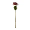 Cheap 😍 Red Pincushion Protea Spray by Ashland® ✔️