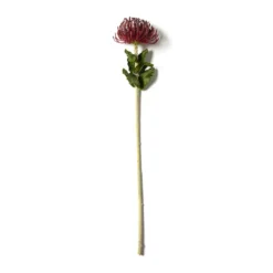 Cheap 😍 Red Pincushion Protea Spray by Ashland® ✔️