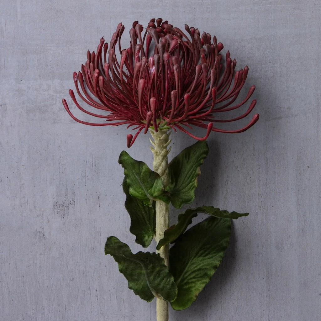 Cheap ๐ Red Pincushion Protea Spray by Ashland® โ๏ธ 4 Cheap ๐ Red Pincushion Protea Spray by Ashland® โ๏ธ - Image 2