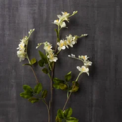 Budget 🎉 Cream Mini Vinca Spray by Ashland® 😀 -Outlet Yuletide Joy Store 10449815 22