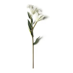 Coupon ๐ White Lily Stem by Ashland Classic Traditions™ โญ