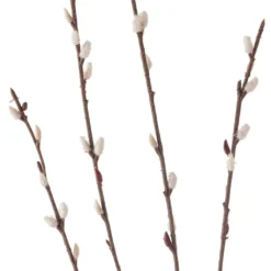 Flash Sale 🎁 Pussy Willow Stem by Ashland® 👏 -Outlet Yuletide Joy Store 10450208 20