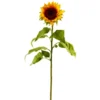 Discount ✨ 6 Pack: Yellow Sunflower Stem by Ashland® 💯