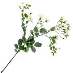 Best deal ⌛ Cream Kate Rose Stem by Ashland® 💯 9 Best deal ⌛ Cream Kate Rose Stem by Ashland® 💯 -Outlet Yuletide Joy Store 10451129 1