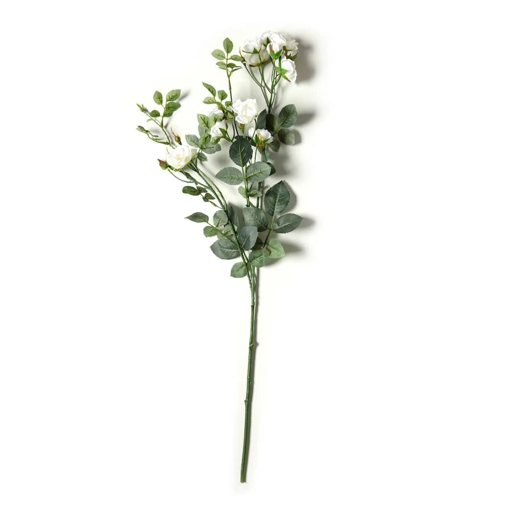 Best deal ⌛ Cream Kate Rose Stem by Ashland® 💯 3 Best deal ⌛ Cream Kate Rose Stem by Ashland® 💯