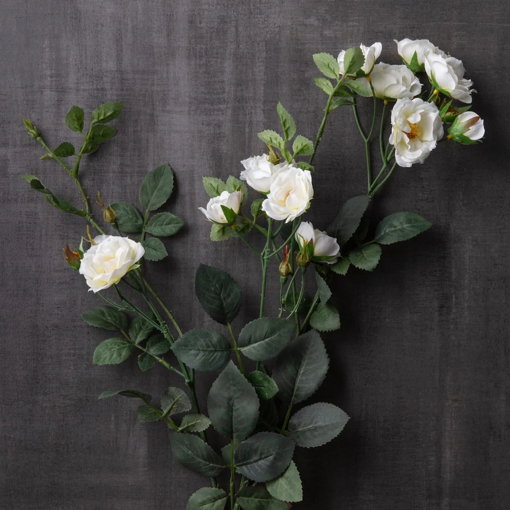 Best deal ⌛ Cream Kate Rose Stem by Ashland® 💯 4 Best deal ⌛ Cream Kate Rose Stem by Ashland® 💯 - Image 2