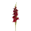 Hot Sale 🌟 12 Pack: Burgundy Gladiolus Stem by Ashland® ✨ -Outlet Yuletide Joy Store 10451146 1
